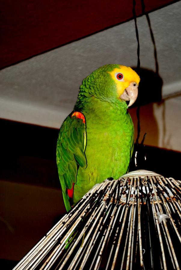 Hotel Maya 2012 อมาคูแซก ภายนอก รูปภาพ