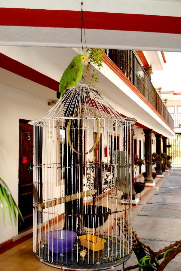 Hotel Maya 2012 อมาคูแซก ภายนอก รูปภาพ